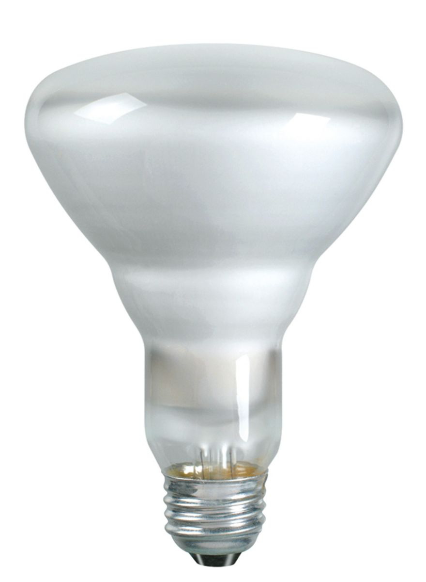 Mayer-65BR30/FL55 120V 12/1-1